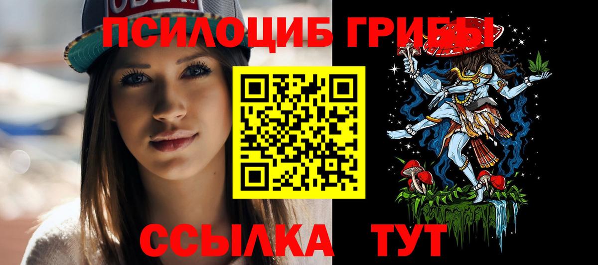 Псилоцибиновые грибы Psilocybine cubensis Севастополь